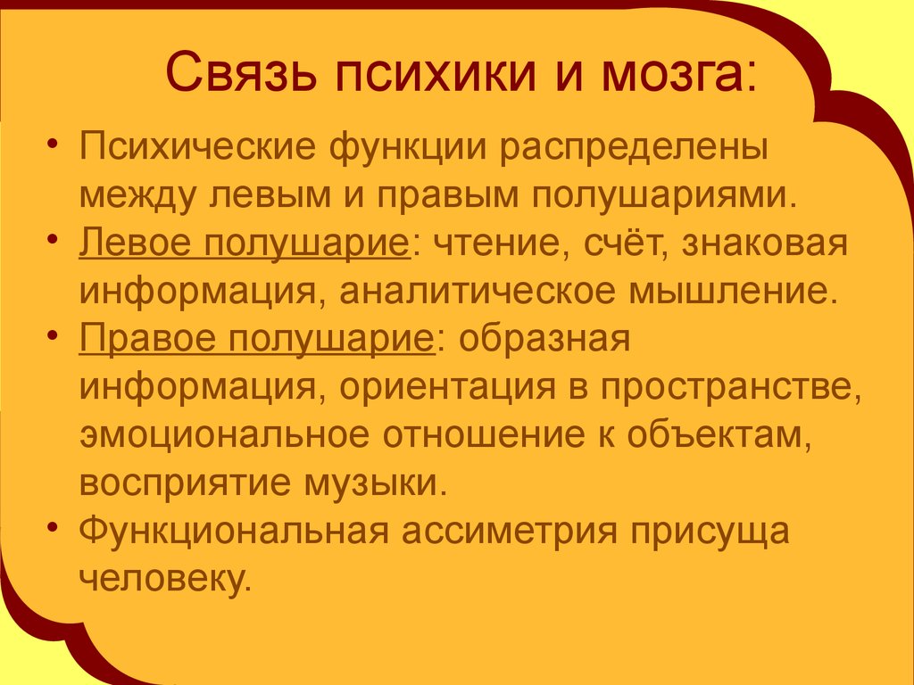 Связь ешь. Взаимосвязь психики и мозга кратко. Мозг и психика. Основные концепции взаимосвязи мозга и психики. Психика и мозг человека.