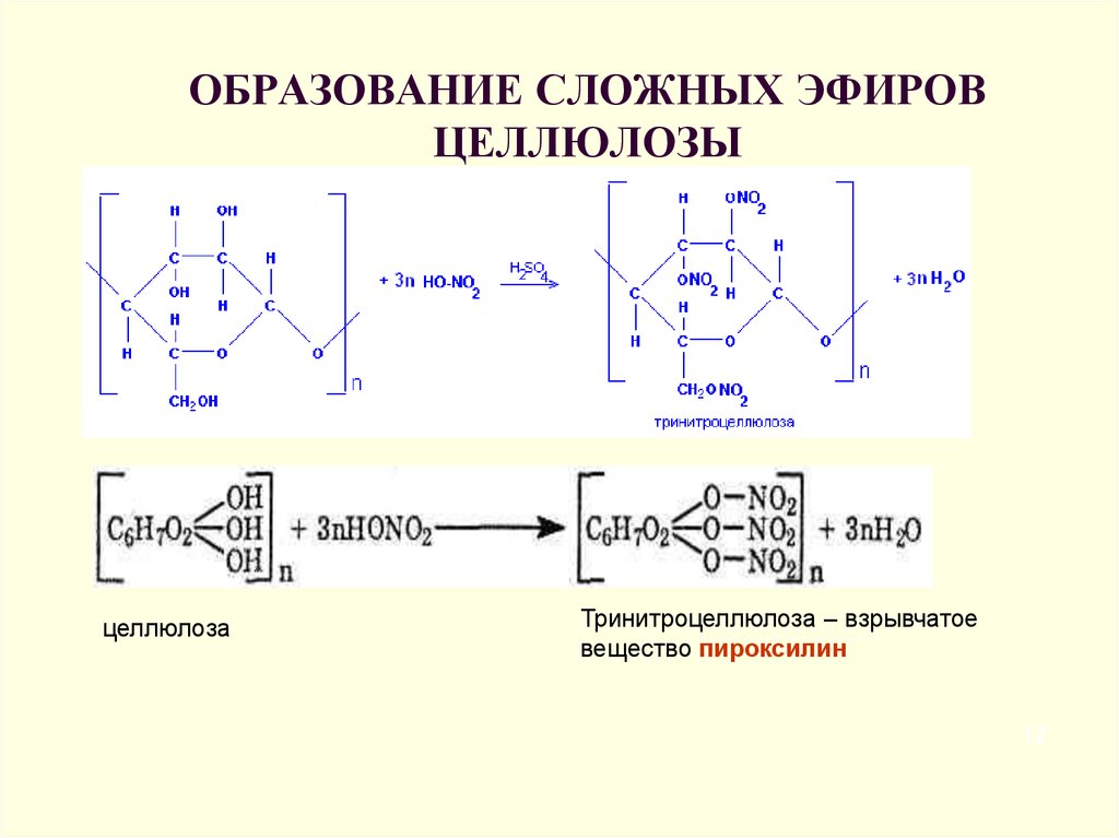 Схема образования целлюлозы