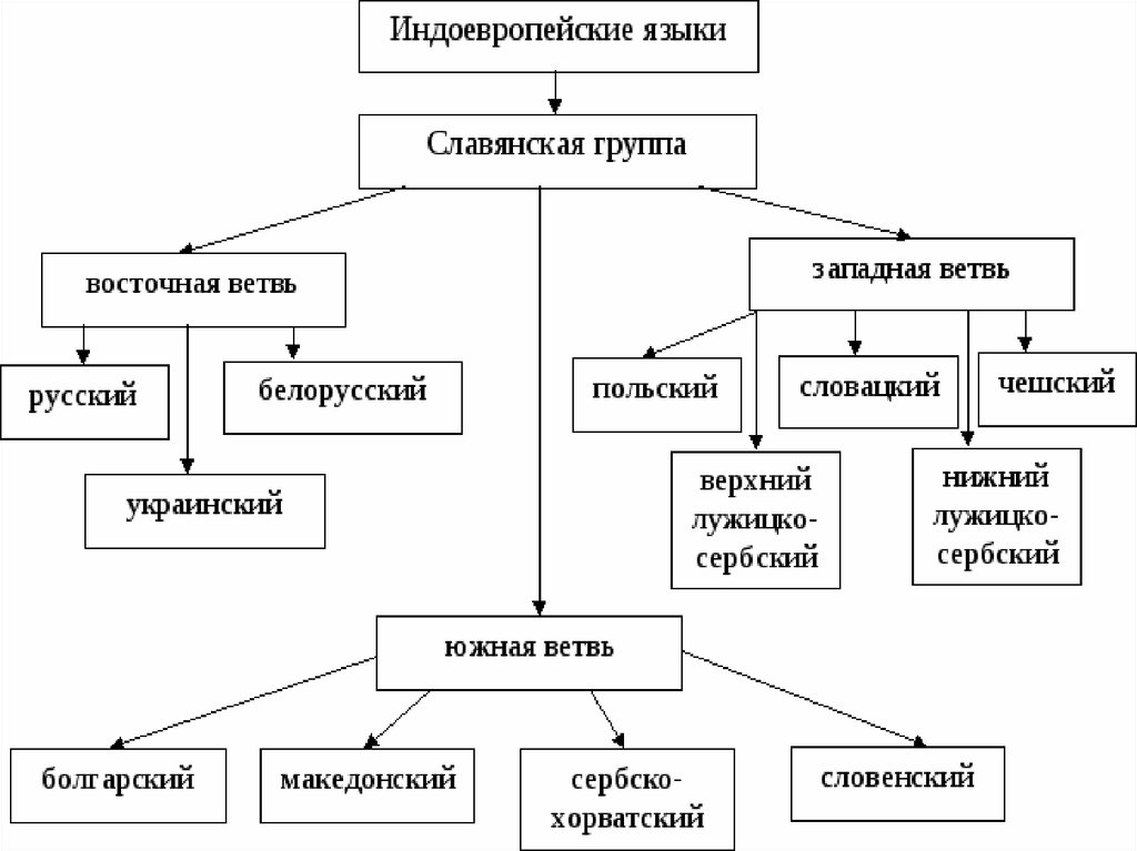 Славянская ветвь языков