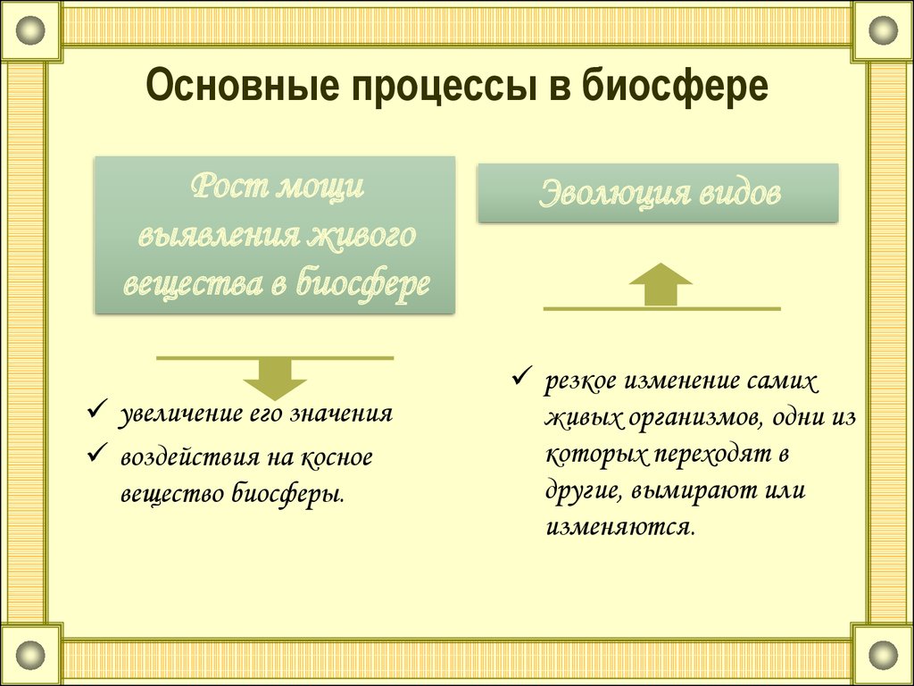 Реферат Биосфера Основные Процессы В Биосфере