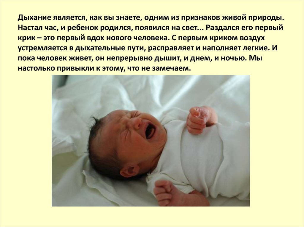 С первым вдохом. Первый крик новорожденного. Первый крик новорожденного презентация. Как ребёнок является.