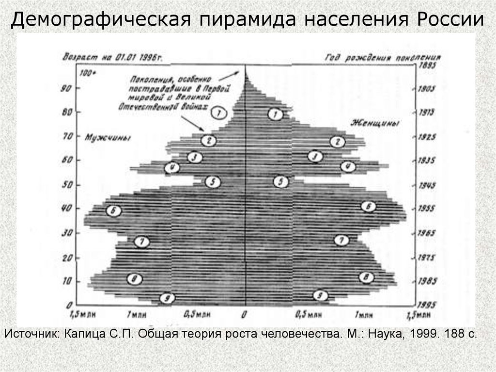 Пирамида населения. Демографическая пирамида СССР 1941. Демографическая пирамида РФ. Демографические пирамиды населения. Пирамида численности населения России.