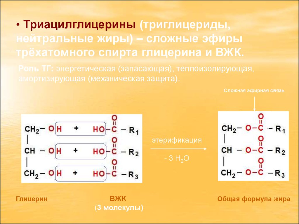 Липиды образуются из глицерина. Общая формула жиров (триглицеридов). Нейтральные жиры (триглицериды)- это. Нейтральные жиры общая формула. Строение жиров триглицеридов.