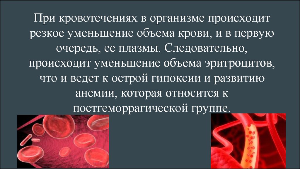Большое количество крови в организме