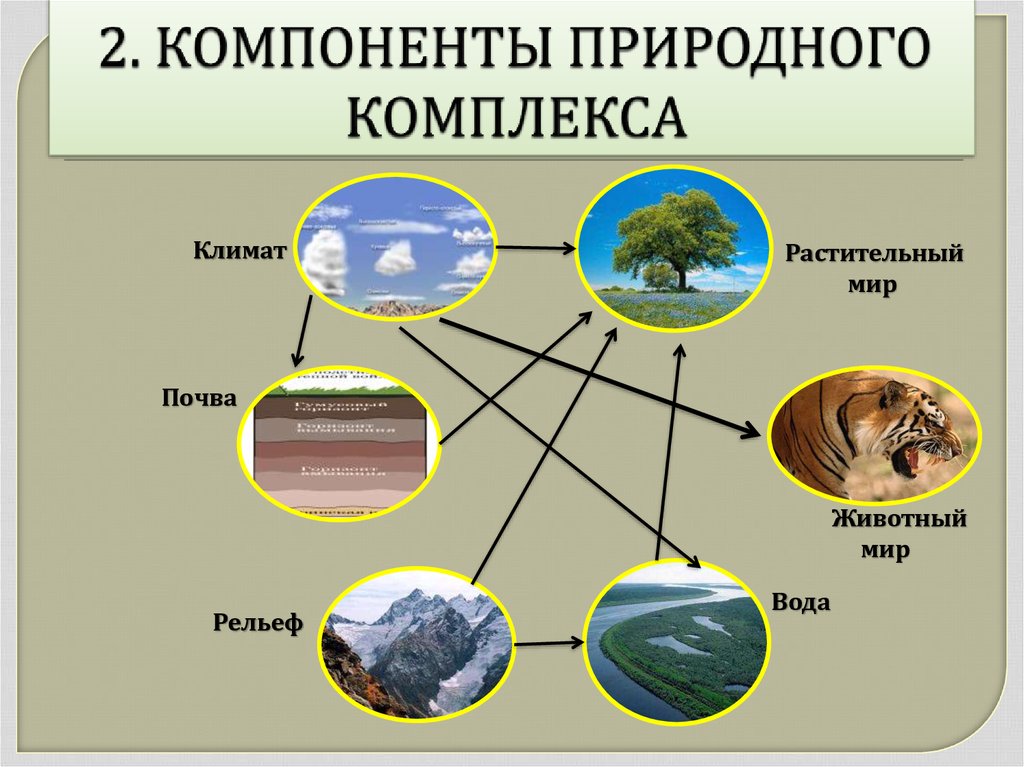 План характеристики природного комплекса урала