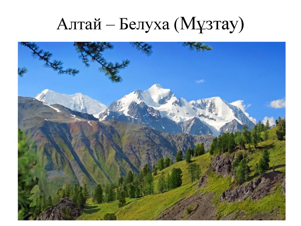 Самая высокая вершина восточной сибири. Гора Белуха Алтай. Южная Сибирь Алтай гора Белуха. Гора Белуха Сибирь. Гора Белуха фото.