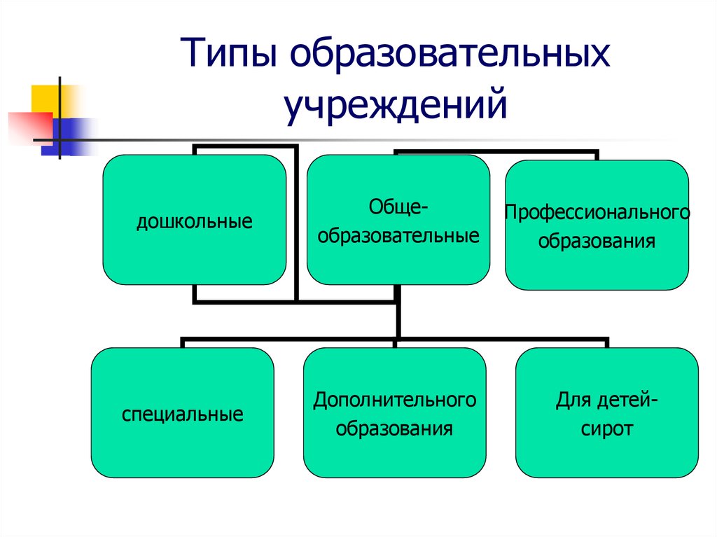 Виды образовательных учреждений