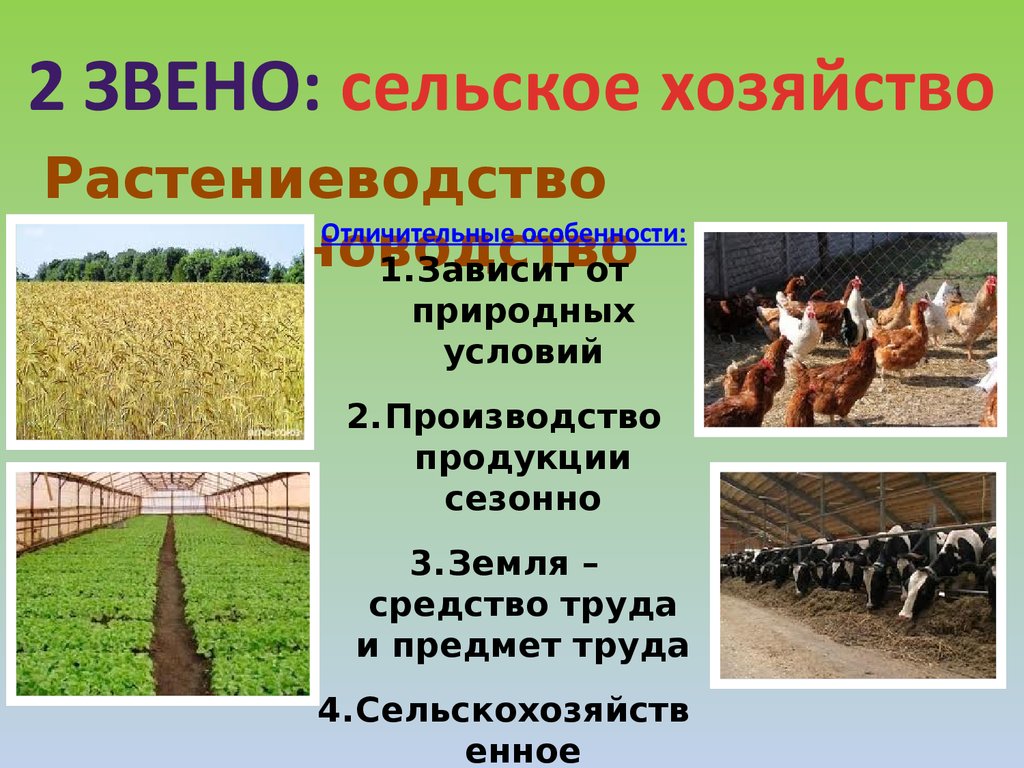 Какие сельскохозяйственные предприятия находятся в твоем регионе