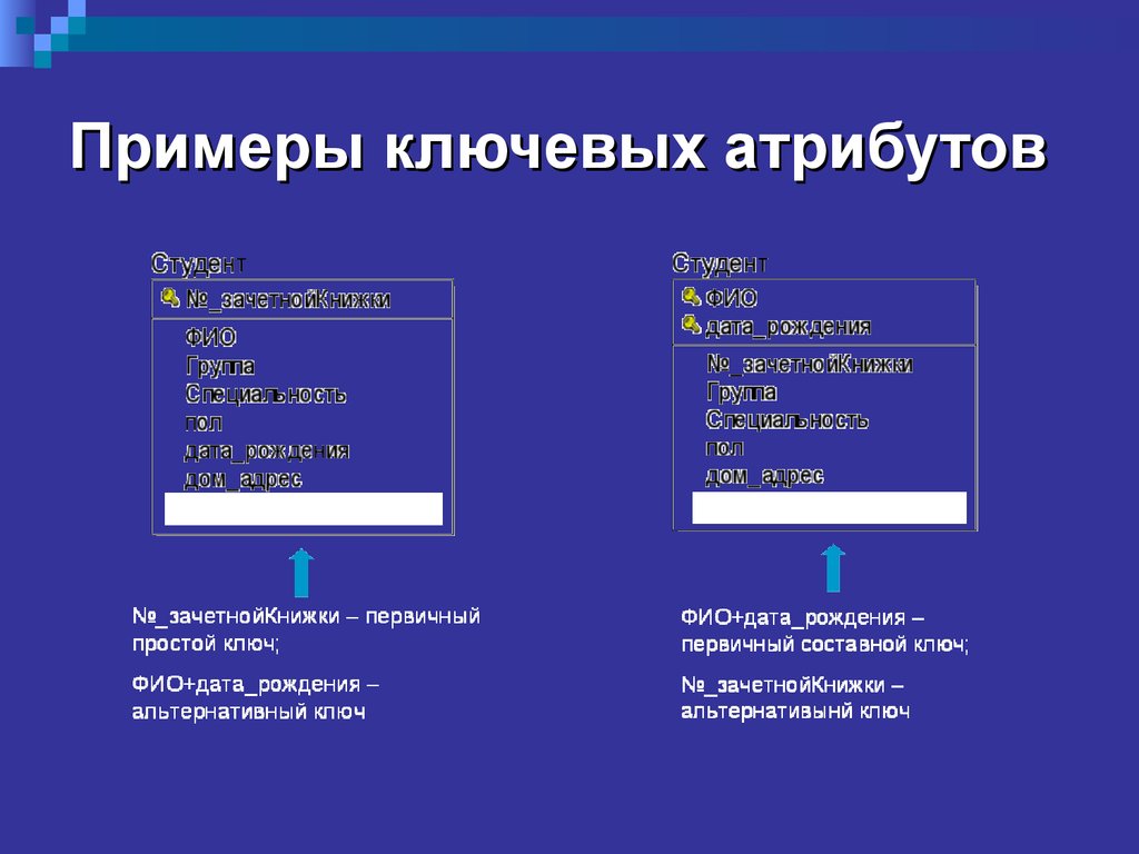 Выберите ключевое. Атрибут пример. Ключевой атрибут пример. Выбери ключевой атрибут (ключевое поле).. Ключевой атрибут в БД.