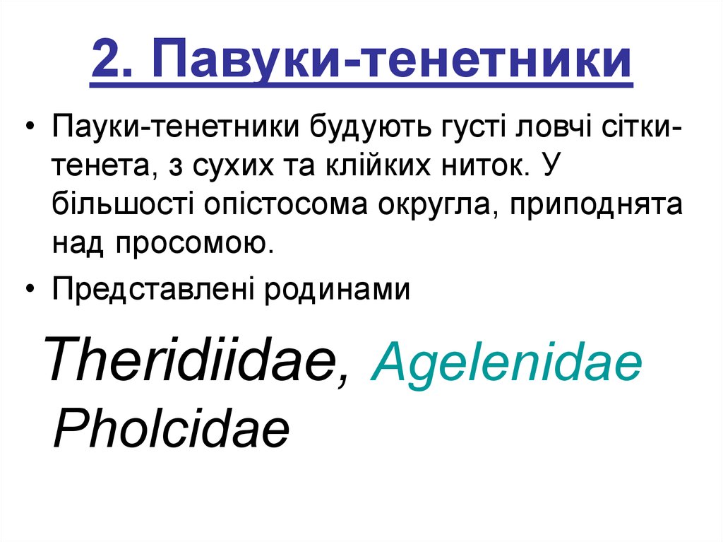 2. Павуки-тенетники