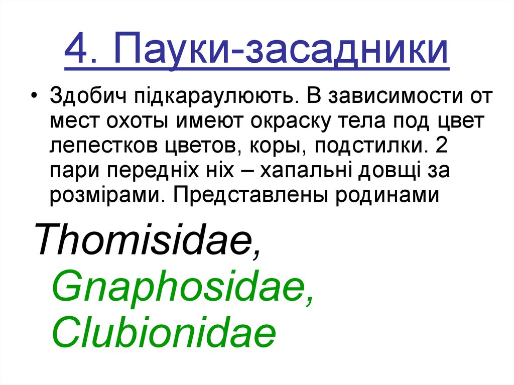 4. Пауки-засадники