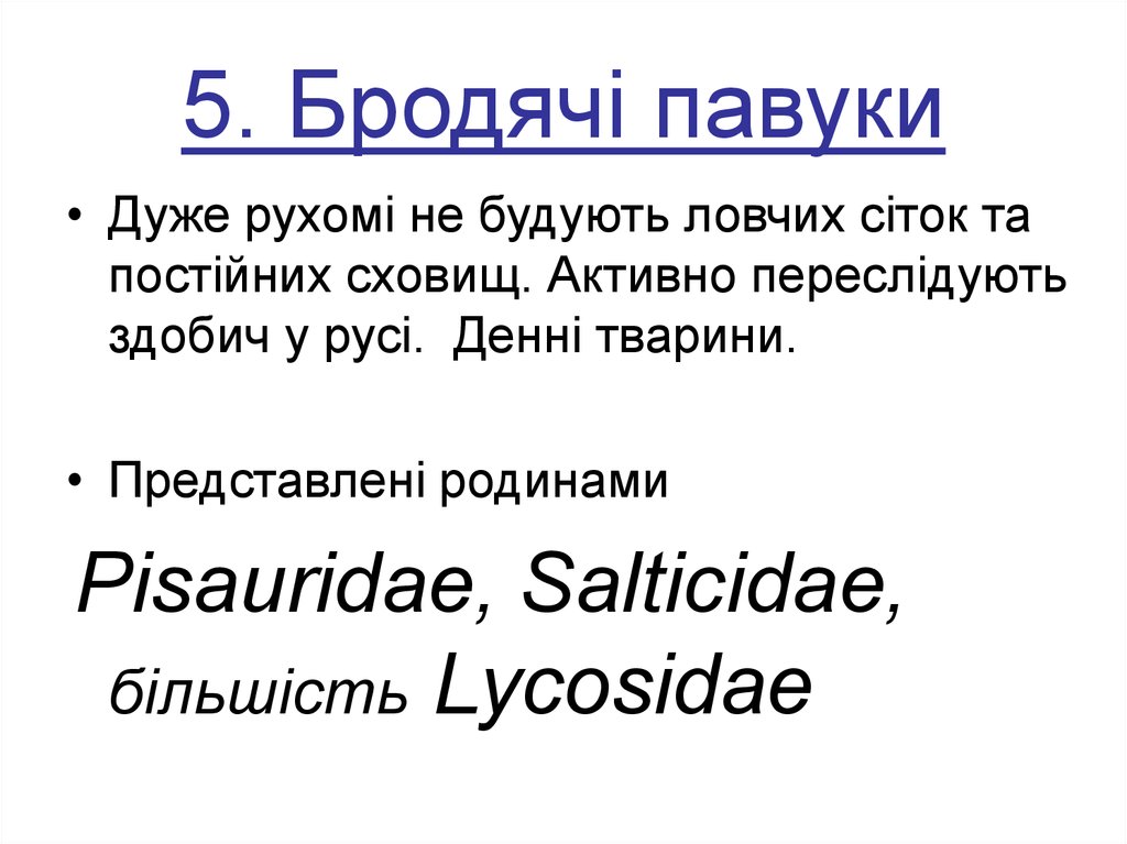 5. Бродячі павуки