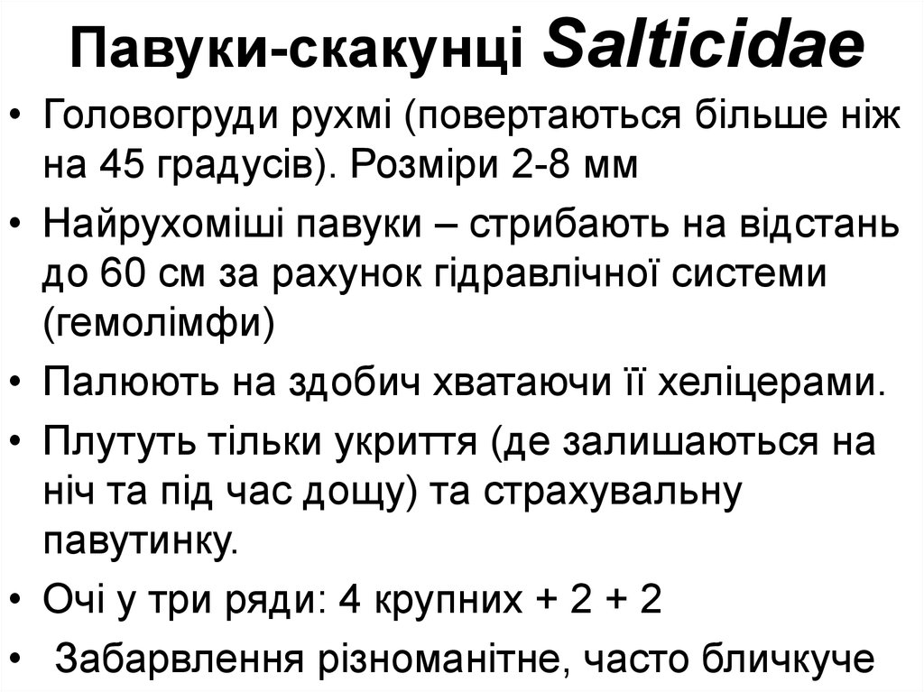 Павуки-скакунці Salticidae