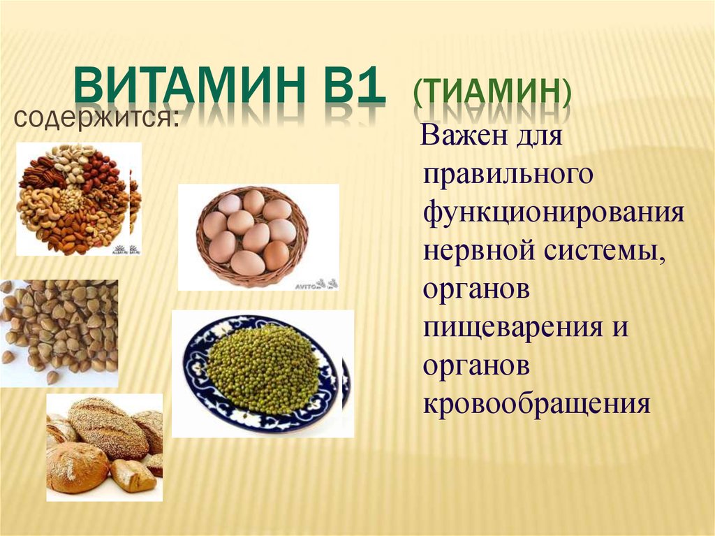 Назначение витамина б. Витамин в1 тиамин содержится в. Витамин б1 тиамин содержится. Тиамин витамин в1. Тиамин (витамин в1) содержит гетероциклы.