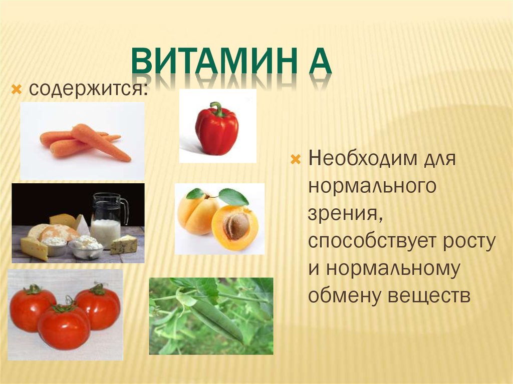 Кулинария 6 класс технология физиология питания презентация