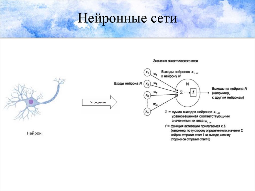 Функции нейронных сетей. Активация нейрона в нейронной сети. Виды нейронов в нейронных сетях. Логистическая функция активации нейрона.