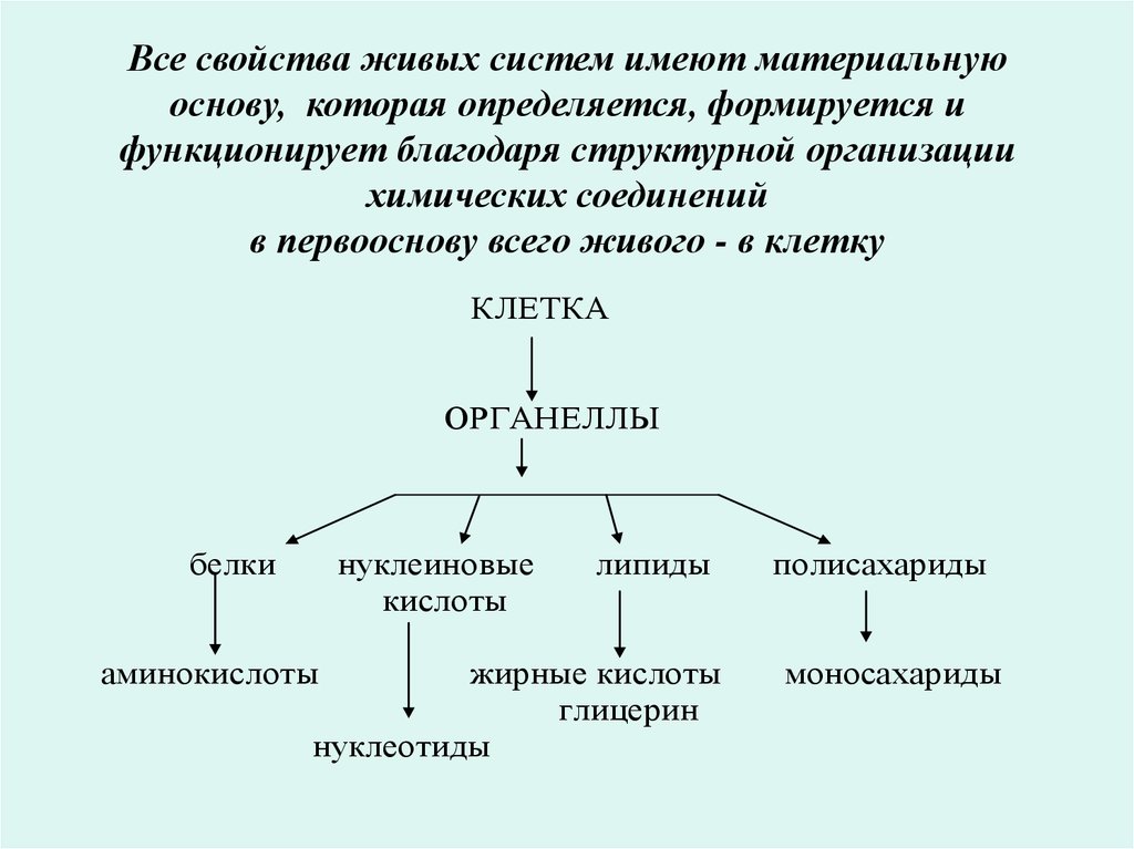 10 постройте схематическую диаграмму о биологической роли белков 1