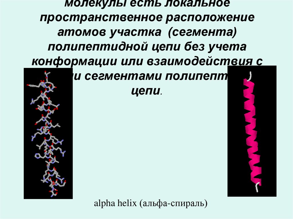 Вторичная структура Вторичная структура белковой молекулы есть локальное пространственное расположение атомов участка