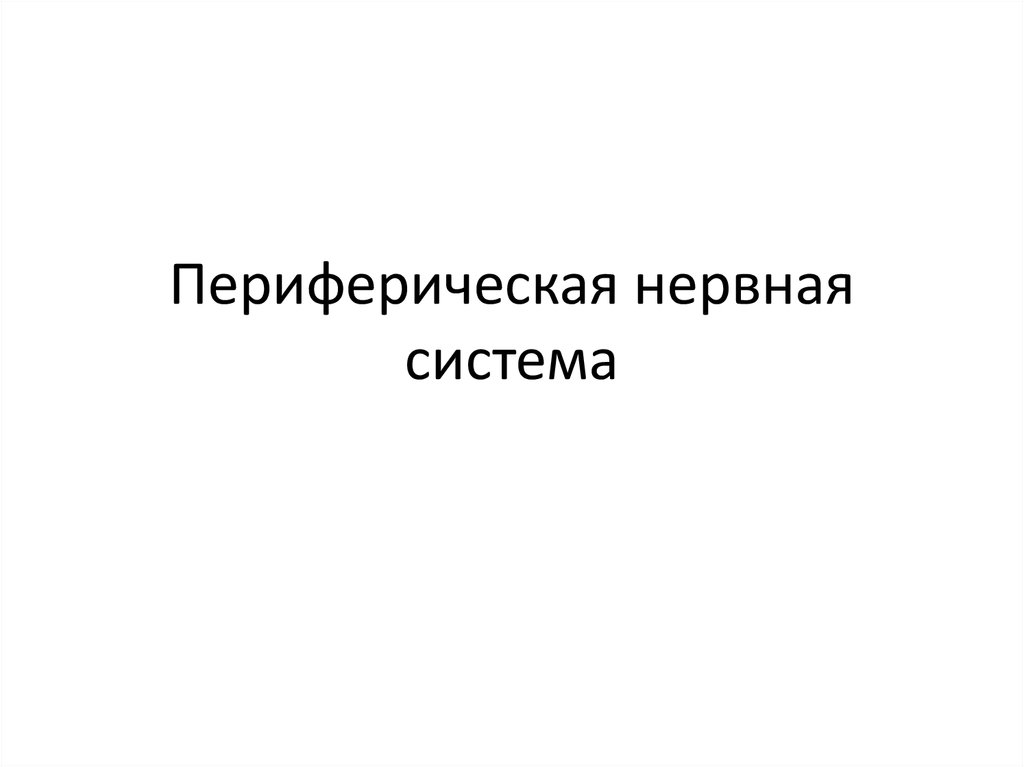 Периферическая нервная система слова. В периферическую нервную систему не включают. В периферическую нервную систему не включают ответ.