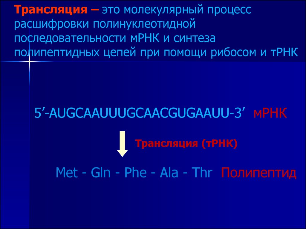 Трансляция генов. Полинуклеотидные последовательности. ESC последовательности. Процесс расшифровки. Процесс роста полипептидной или полинуклеотидной цепи.