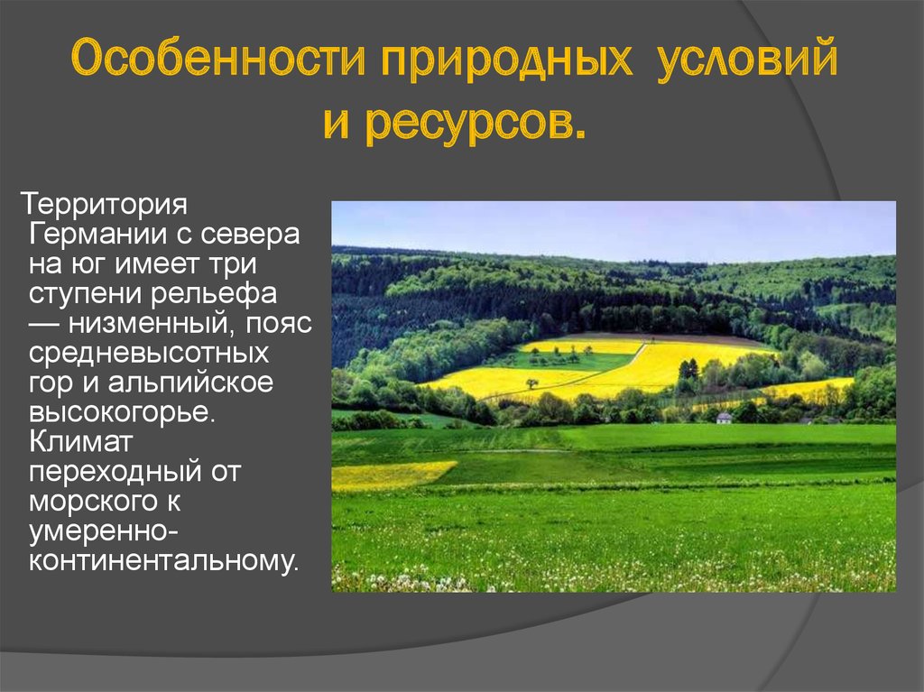 Какие особенности природных ресурсов