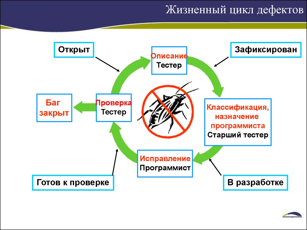 Баг жизненный цикл бага