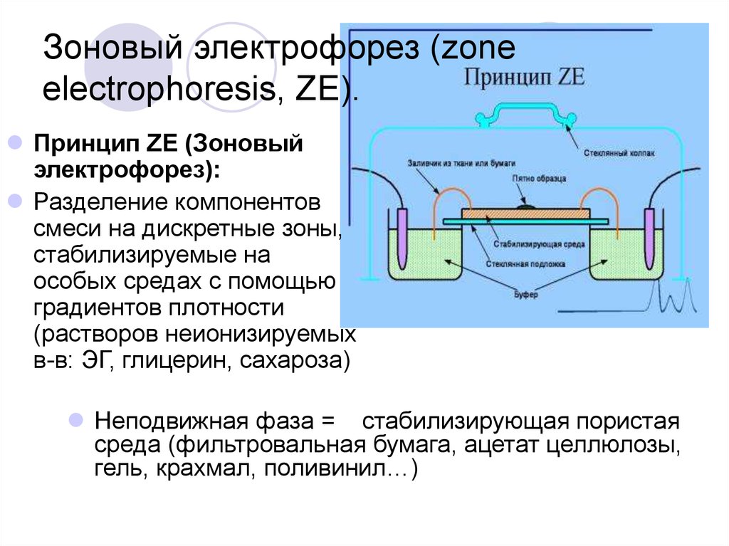 Капиллярный электрофорез презентация