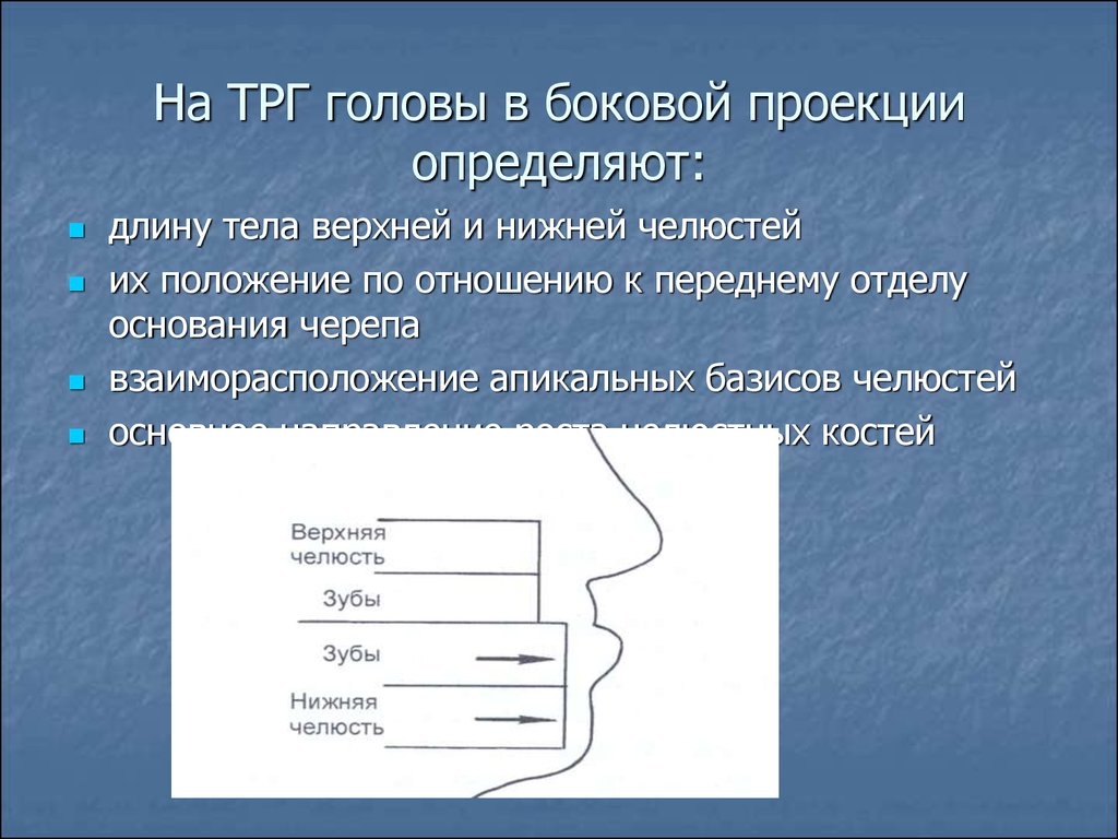 Мезиальная окклюзия презентация ортодонтия