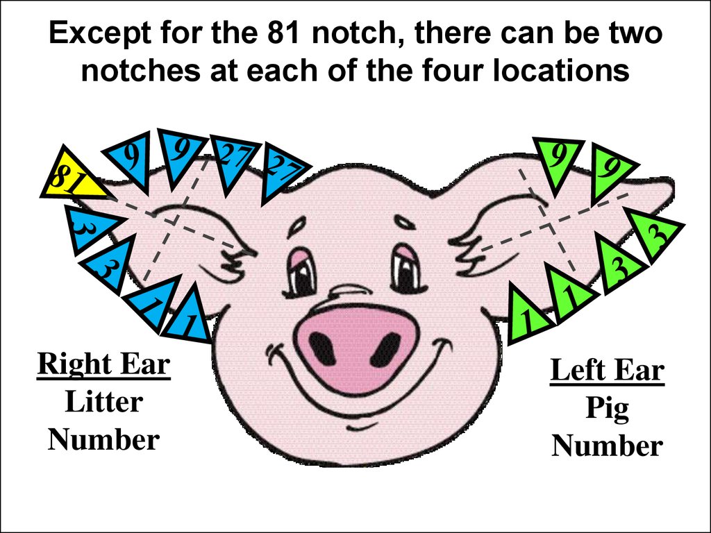 Ear Notching Online Presentation