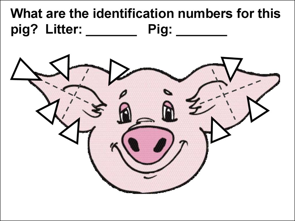 Ear Notching Online Presentation