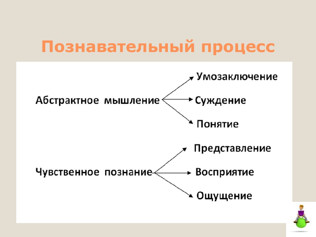 Познавательные процессы презентация 8 класс биология