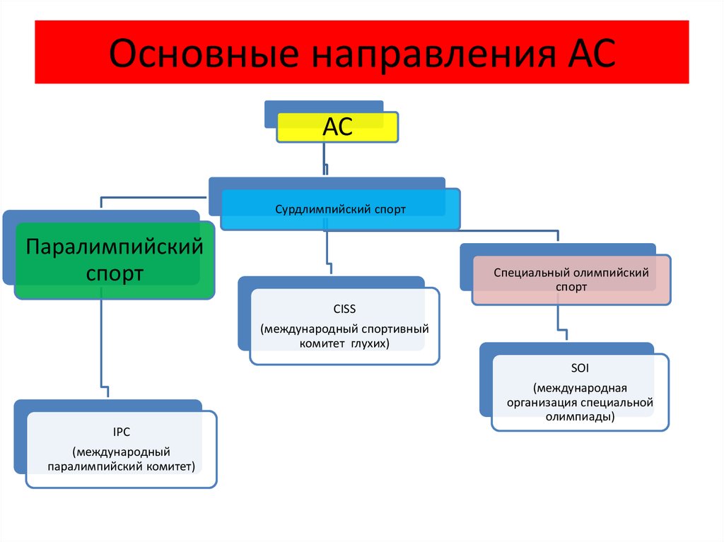 Специальное направление. Основные направления адаптивного спорта. Направления развития адаптивного спорта. Основные виды адаптивного спорта. Классификация видов адаптивного спорта.