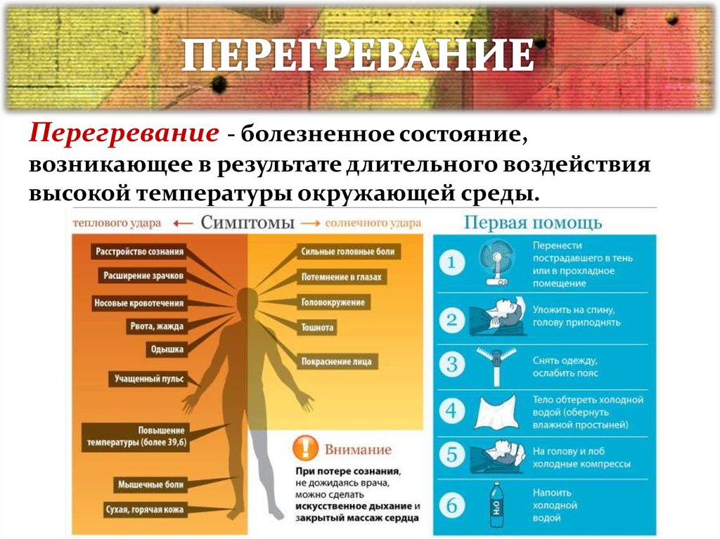 Перегревание организма презентация