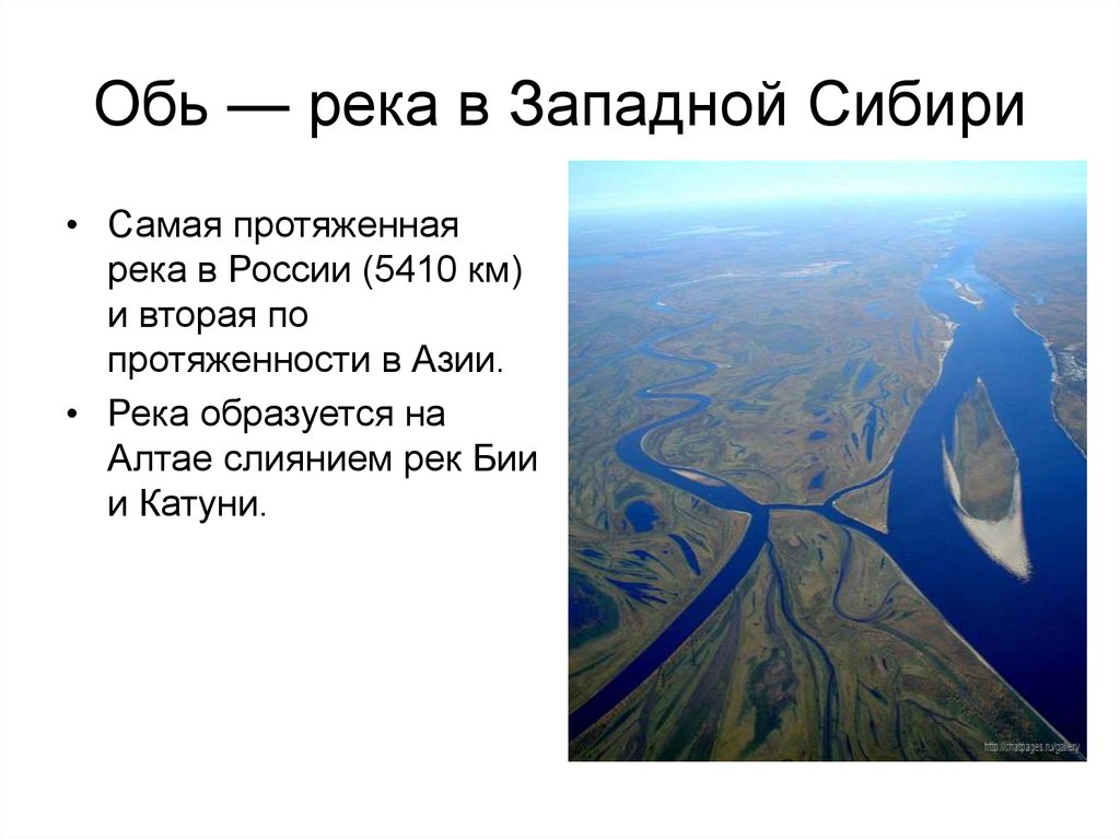 Река обь размеры. Река Обь в Западной Сибири. Описание реки Обь. Рассказ о реке Обь. Реки впадающие в Обь Томская область.