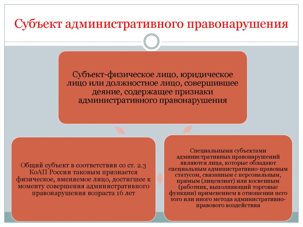 Общим субъектом административного правонарушения являются. Субъект административного правонарушения.