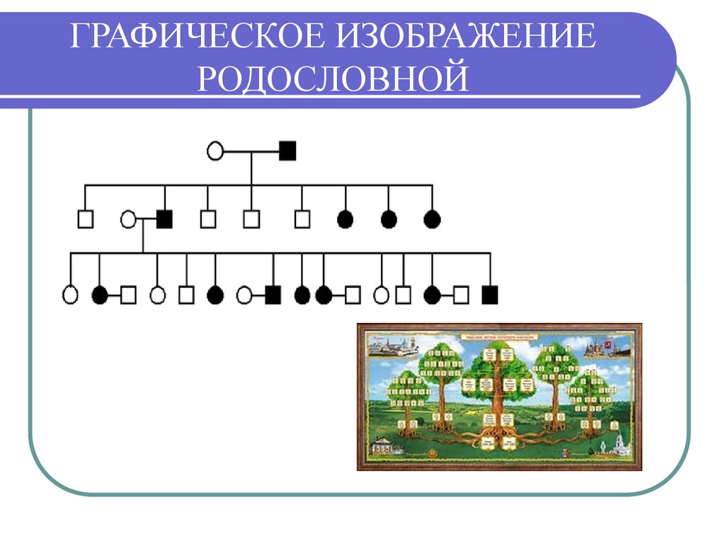 Графическое изображение родословной