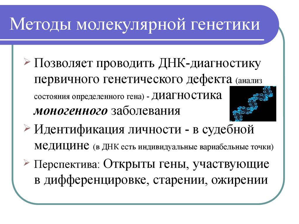 Молекулярно генетическая генетика