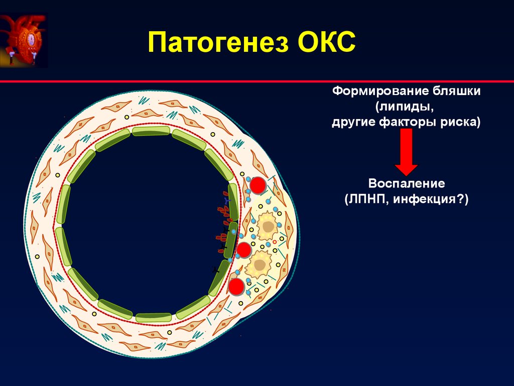 Тема окс