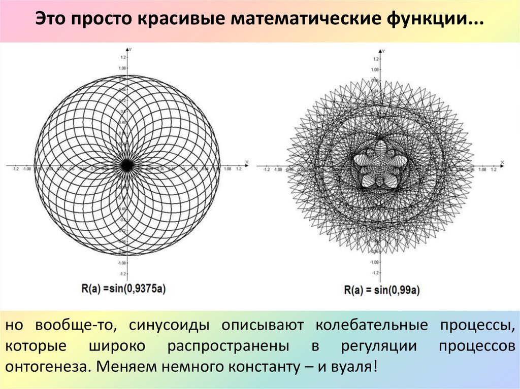 Красивые графики функций картинки