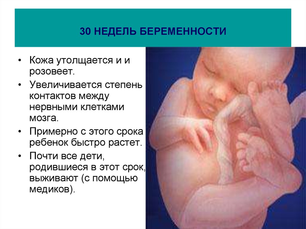 Недели ребенок жизнеспособен. Плод на 30 неделе беременности. Ребёнок в 30 недель беременности. Малыш на 30 неделе беременности.