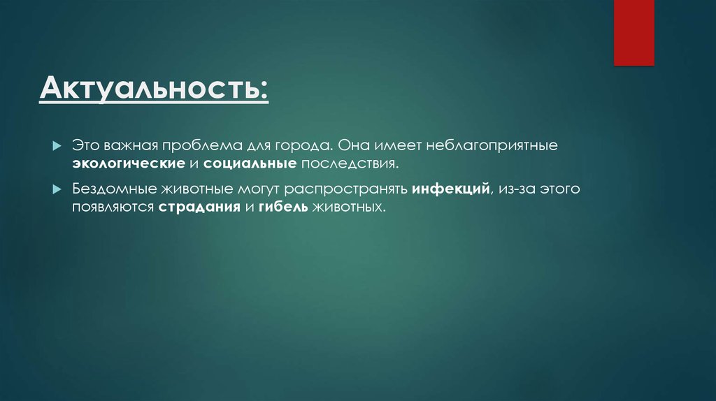 Актуально это. Актуальность проблемы бездомных животных. Для актуального. Актуально. Актуальные цены.