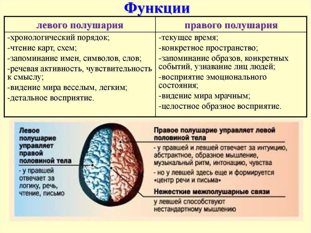 Какие функции выполняет полушария мозга. Функции левого полушария головного мозга. Функции правого и левого полушария. Функции левого и правого полушария головного мозга. Функции левого полушария.
