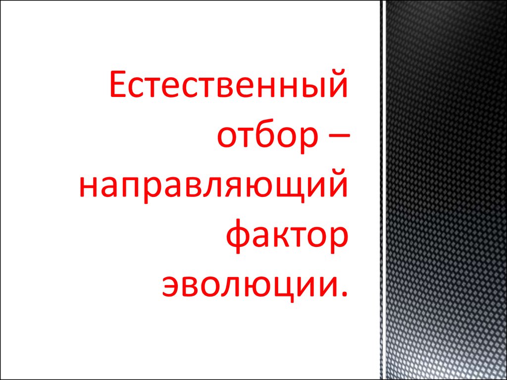 Направляющий фактор эволюции. Естественный отбор направляющий фактор эволюции. Естественный отбор – основной направляющий фактор эволюции. Факторы эволюции естественный отбор. Естественный отбор направляющий фактор эволюции презентация.