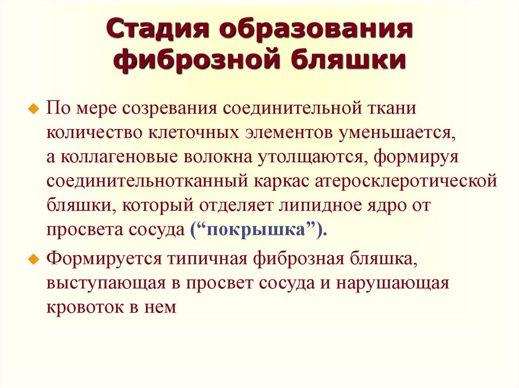 Последняя стадия образования