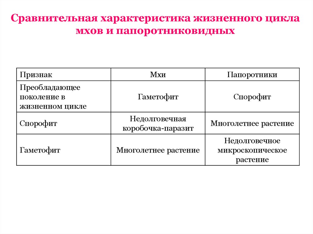 Преобладающее поколение