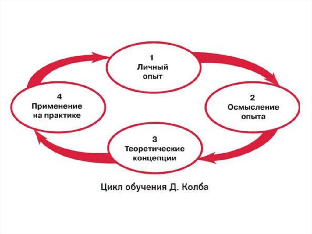 Принципы обучения взрослых людей