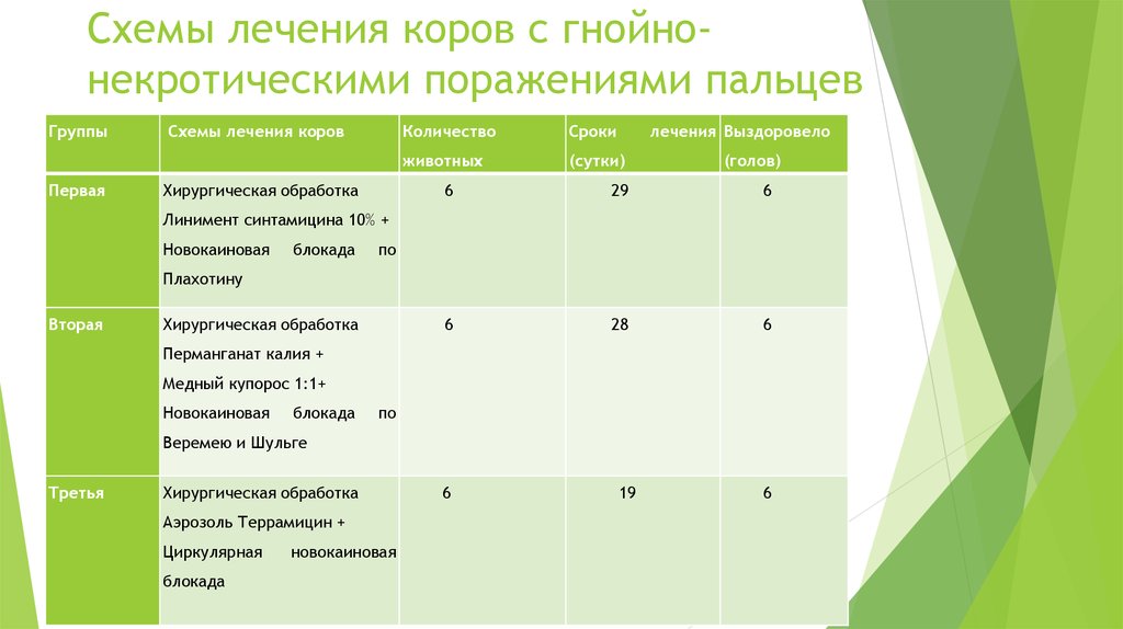 Схемы лечения мастита у лактирующих коров