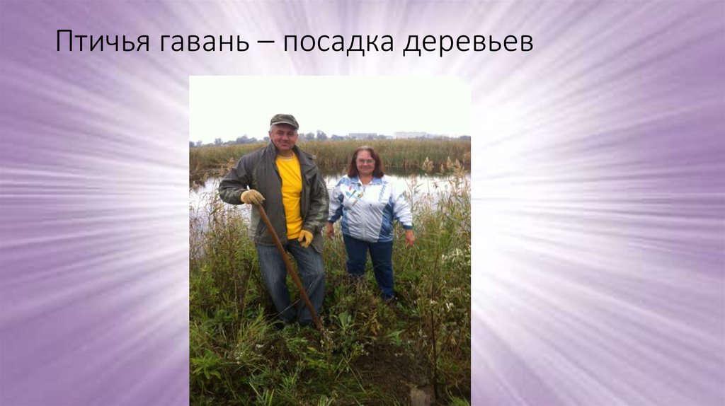 Птичья гавань – посадка деревьев