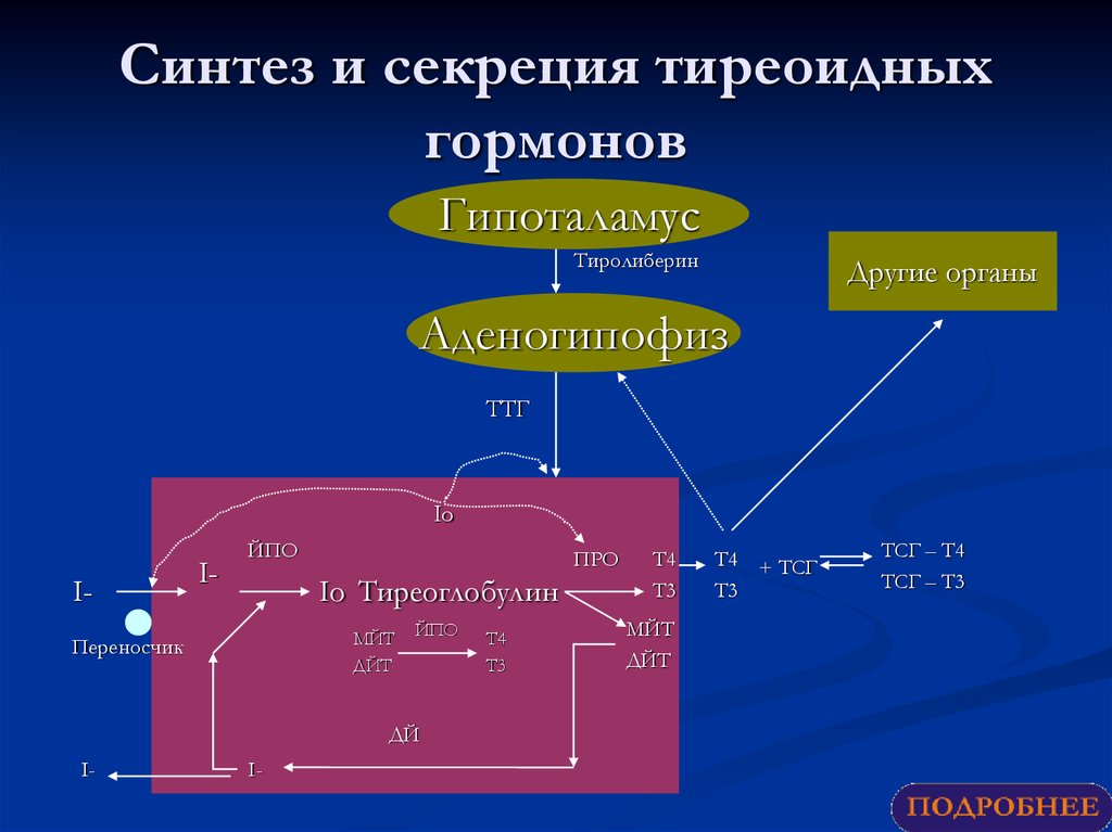 Уровень тиреоидных гормонов