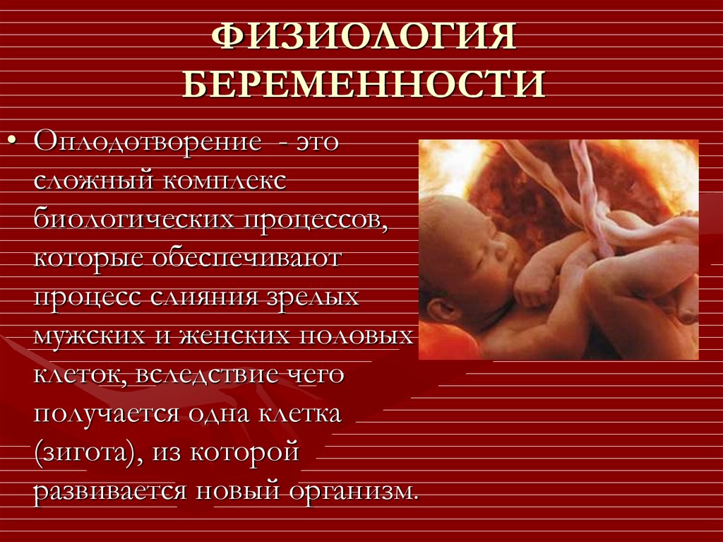 Физиологическая беременность и физиологические роды. Физиология беременности. Тема для презентации беременность.